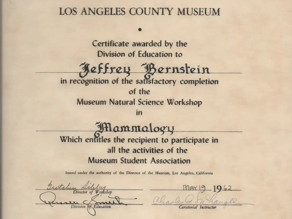 Mammalogy, LA County Museum of Natural History, May - 1962