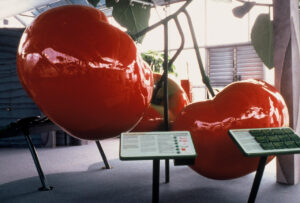 Freestanding tomato exhibit 